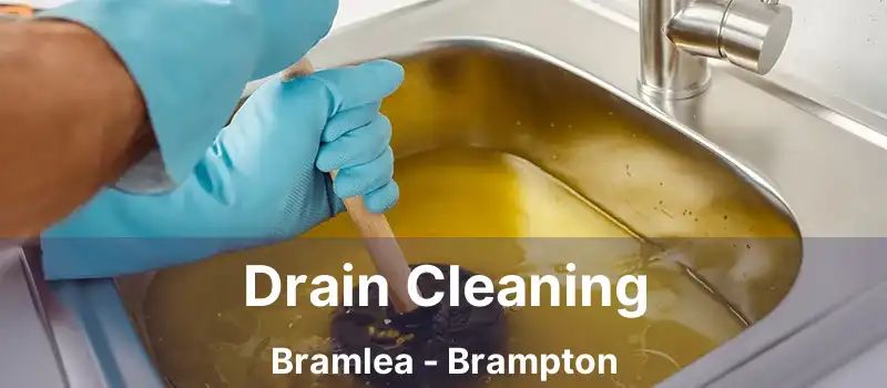  Drain Cleaning Bramlea - Brampton