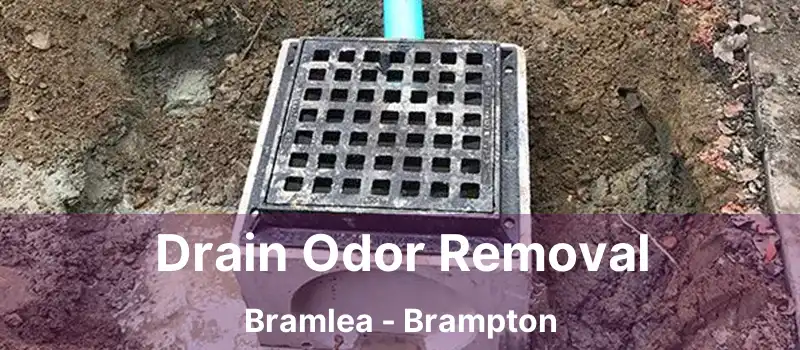  Drain Odor Removal Bramlea - Brampton