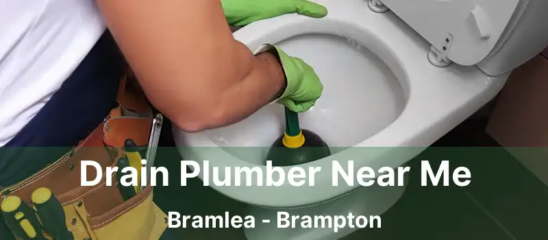  Drain Plumber Near Me Bramlea - Brampton