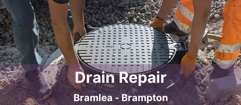  Drain Repair Bramlea - Brampton