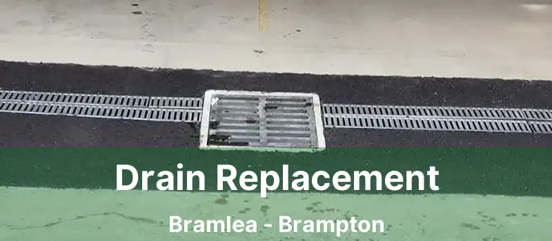  Drain Replacement Bramlea - Brampton