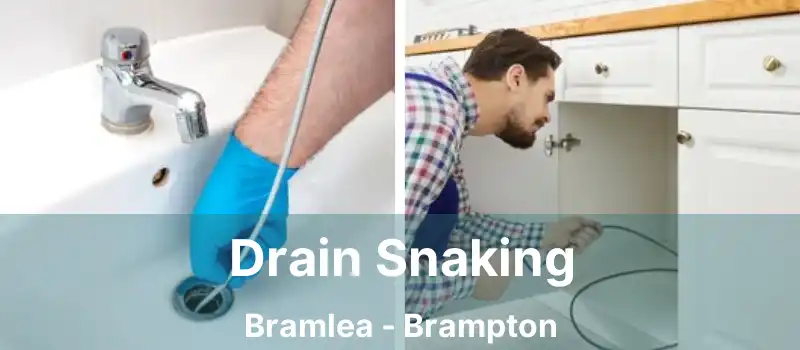  Drain Snaking Bramlea - Brampton