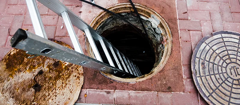 Drain Maintenance Service Near Me in Bramlea, Brampton